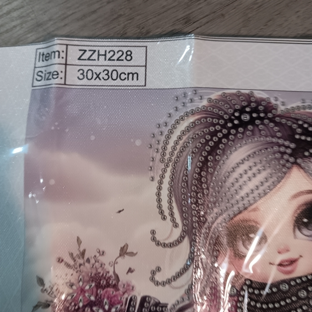 Cute Doll Diamond Art Paint Kit with Dogs and Motorcycle 30x30 - Picture 3 of 4